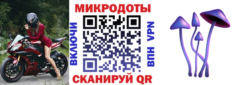 Галлюциногенные грибы мухоморы  Купить закладки  Вологда 