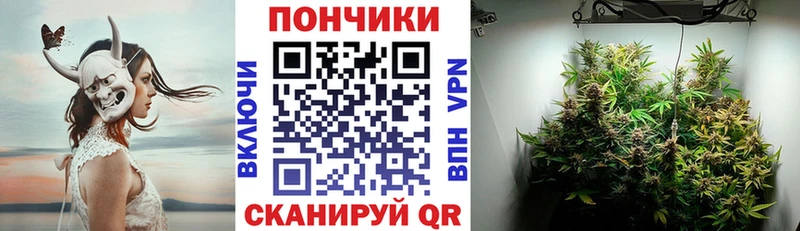 Купить где  Вологда  Конопля гибрид 