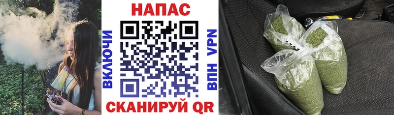 Конопля конопля Вологда